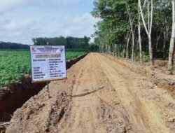 Tiyuh Mulya Jaya Lakukan kegiatan Bangunan Buka Badan Jalan melalui Dana DD TA 2025 Tahap 1.